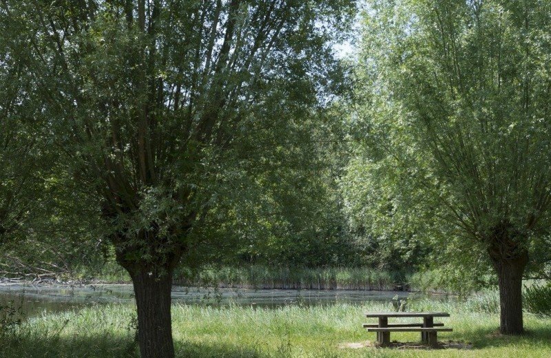 Natuurgebied Den Inkel