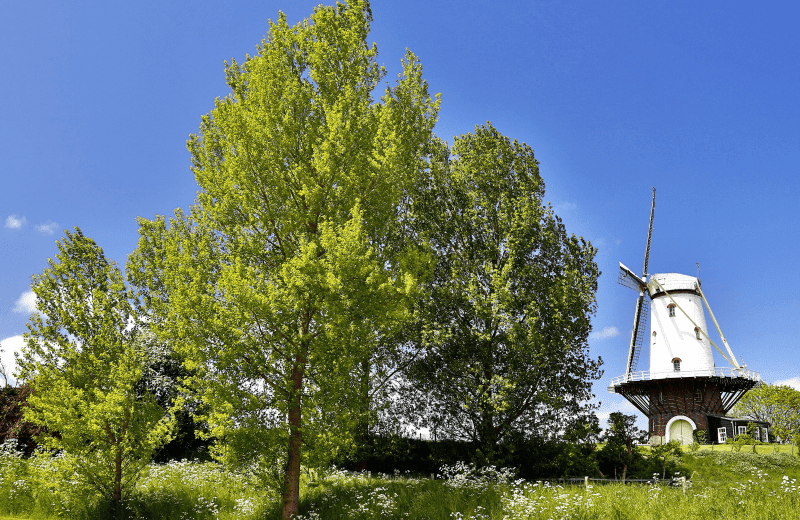 Wandelroute zeeland 5