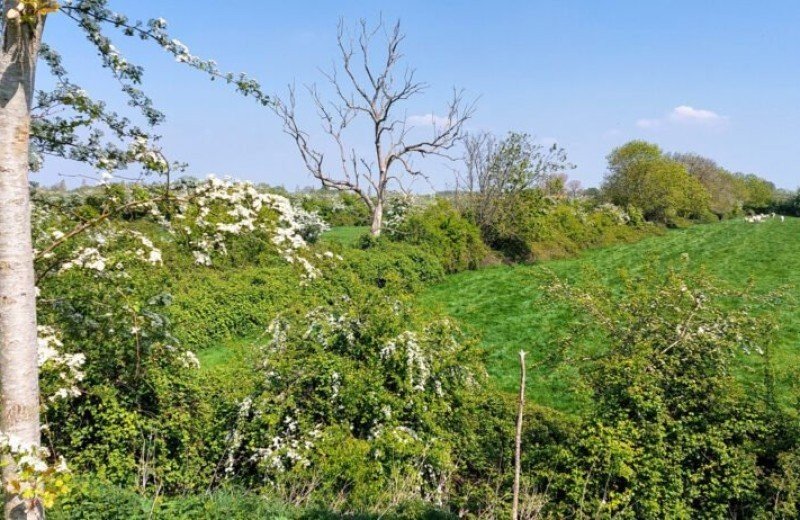 Zak van zuid beveland 012 scaled e1651674937521